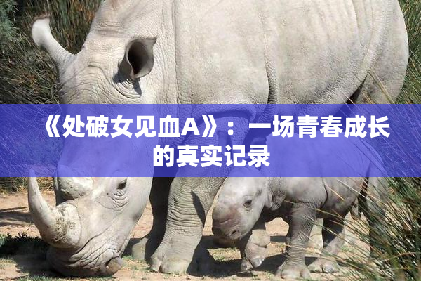 《处破女见血A》：一场青春成长的真实记录