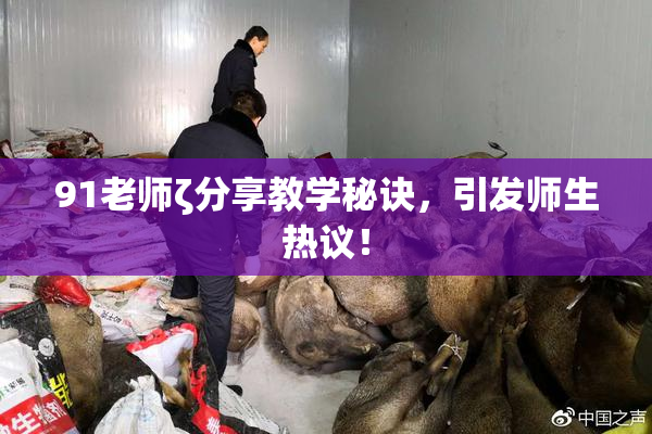 91老师ζ分享教学秘诀，引发师生热议！
