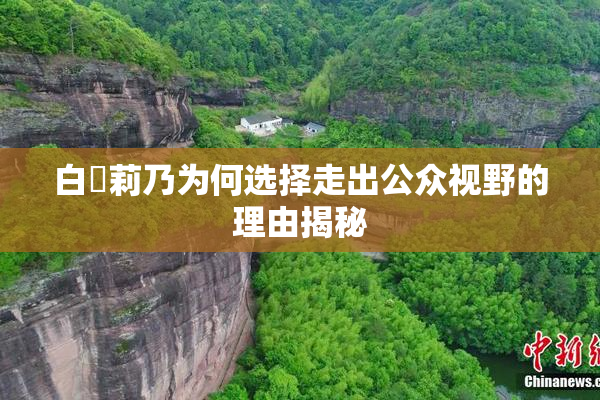 白咲莉乃为何选择走出公众视野的理由揭秘