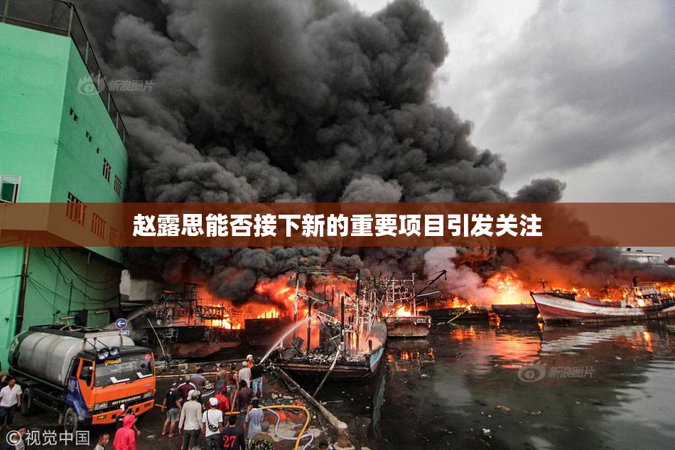 赵露思能否接下新的重要项目引发关注
