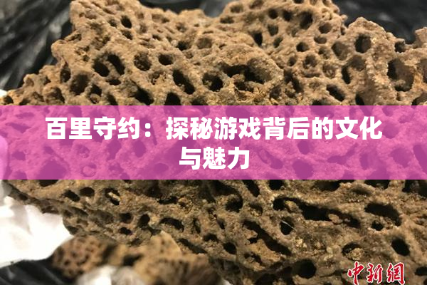 百里守约：探秘游戏背后的文化与魅力