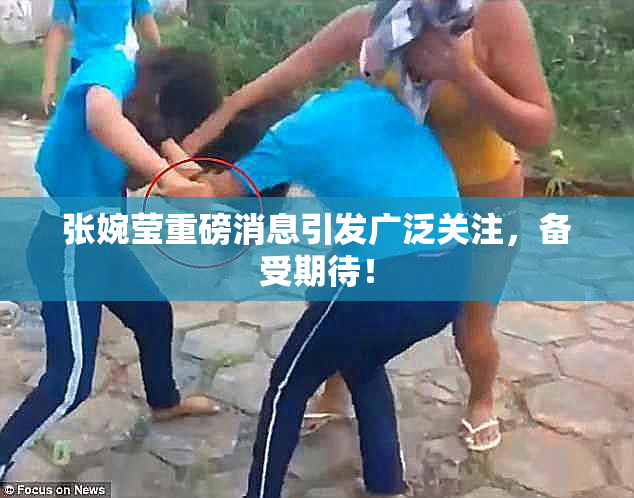 张婉莹重磅消息引发广泛关注，备受期待！