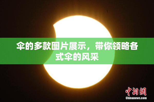 伞的多款图片展示，带你领略各式伞的风采