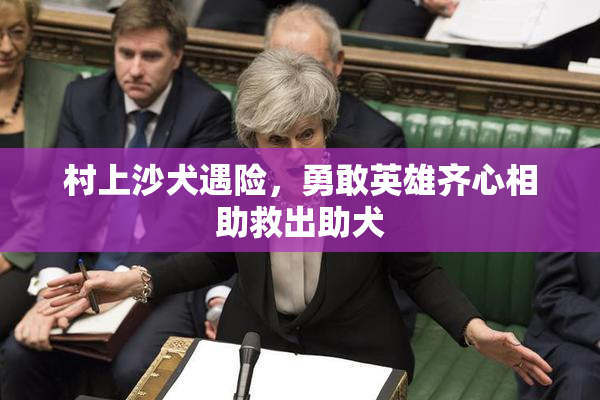 村上沙犬遇险，勇敢英雄齐心相助救出助犬