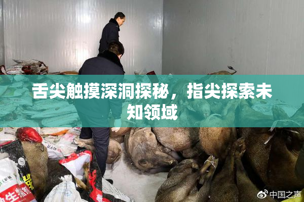 舌尖触摸深洞探秘，指尖探索未知领域