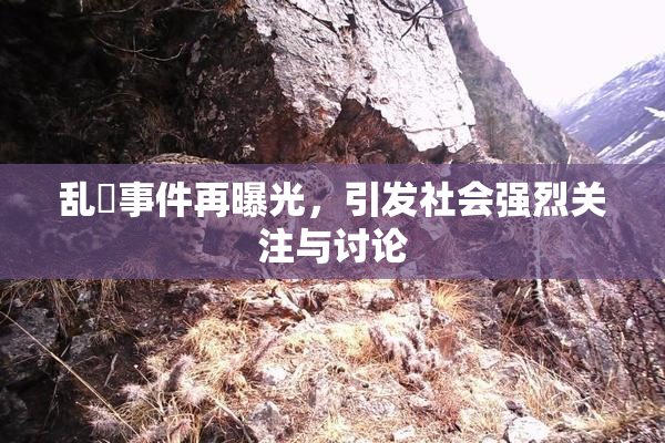 乱婬事件再曝光，引发社会强烈关注与讨论