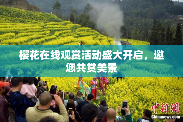 樱花在线观赏活动盛大开启，邀您共赏美景