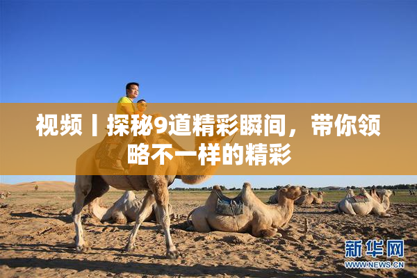 视频丨探秘9道精彩瞬间，带你领略不一样的精彩