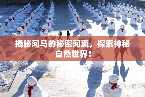 揭秘河马的秘密河流，探索神秘自然世界！