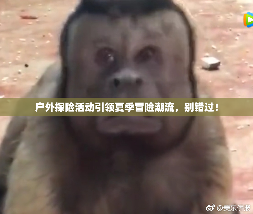 户外探险活动引领夏季冒险潮流，别错过！