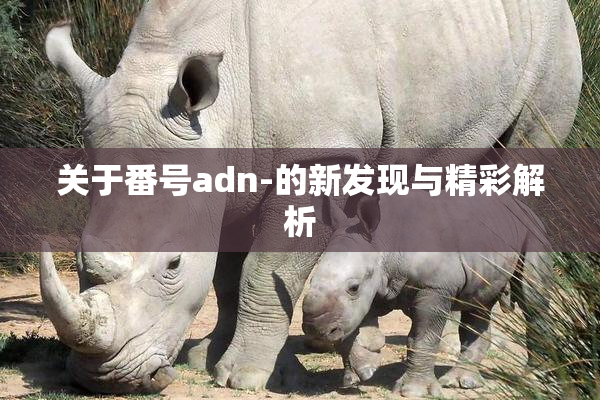 关于番号adn-的新发现与精彩解析
