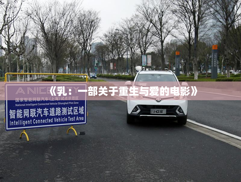 《乳：一部关于重生与爱的电影》