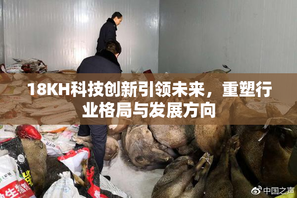 18KH科技创新引领未来，重塑行业格局与发展方向