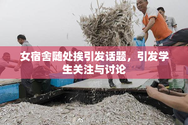 女宿舍随处挨引发话题，引发学生关注与讨论