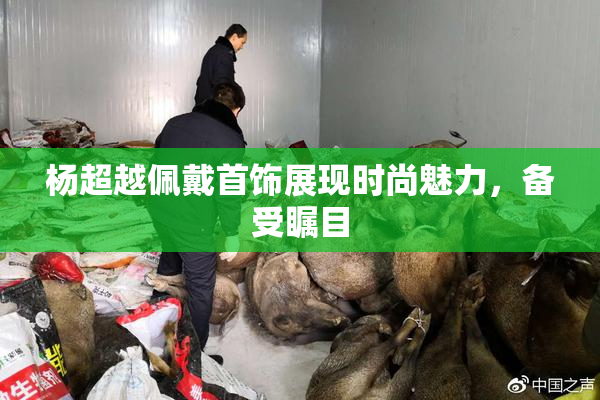 杨超越佩戴首饰展现时尚魅力，备受瞩目