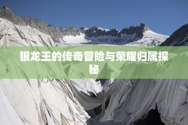 银龙王的传奇冒险与荣耀归属探秘