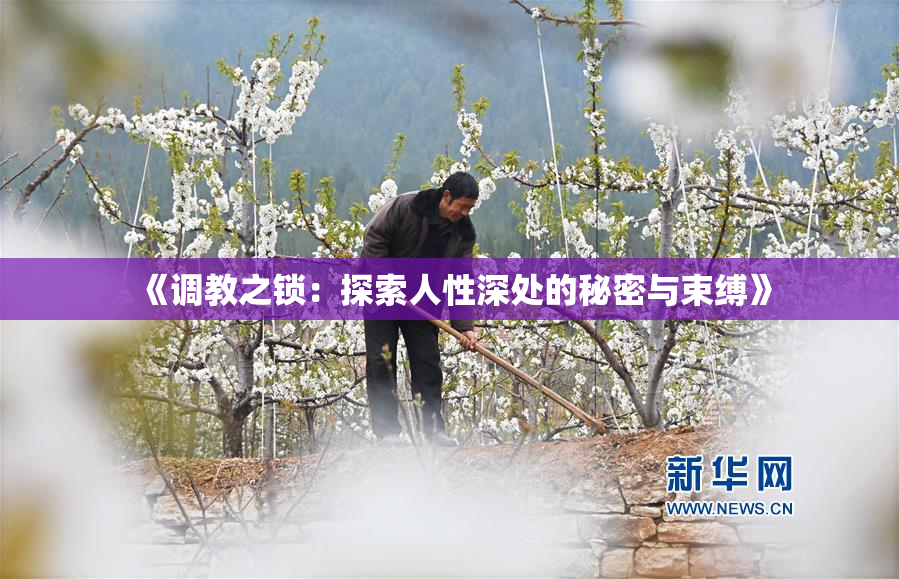 《调教之锁：探索人性深处的秘密与束缚》