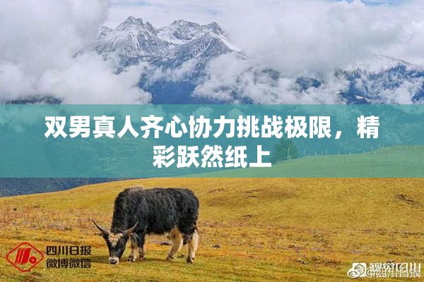 双男真人齐心协力挑战极限，精彩跃然纸上