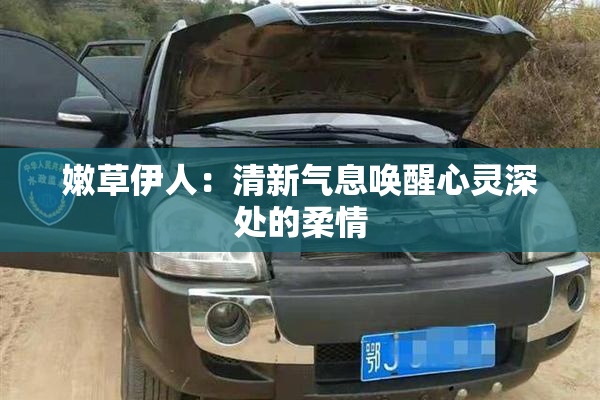 嫩草伊人：清新气息唤醒心灵深处的柔情