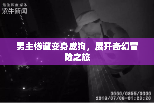男主惨遭变身成狗，展开奇幻冒险之旅