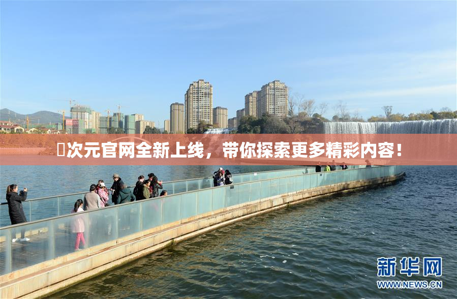 囧次元官网全新上线，带你探索更多精彩内容！