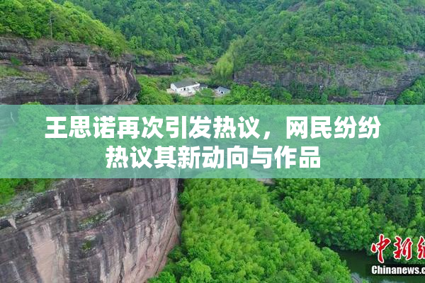 王思诺再次引发热议，网民纷纷热议其新动向与作品
