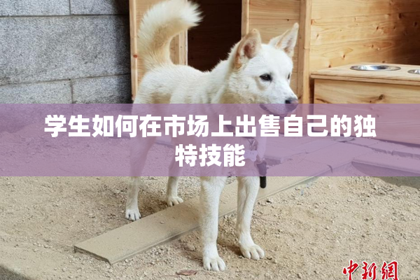 学生如何在市场上出售自己的独特技能