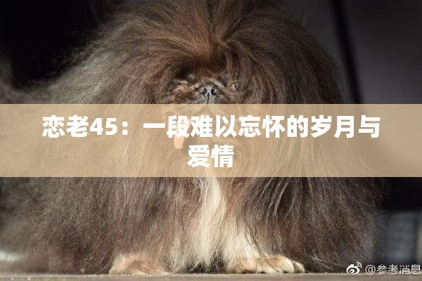 恋老45：一段难以忘怀的岁月与爱情