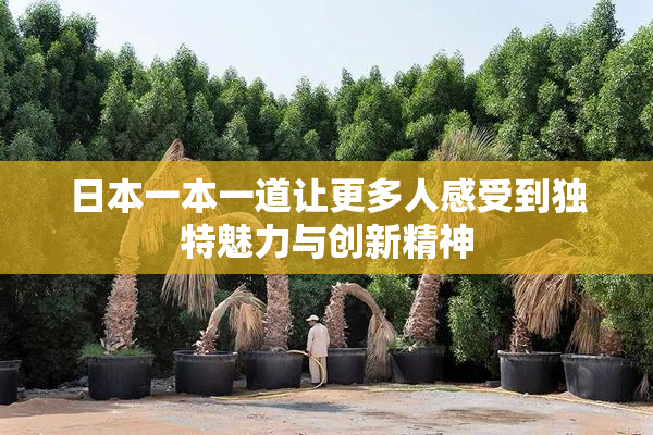 日本一本一道让更多人感受到独特魅力与创新精神