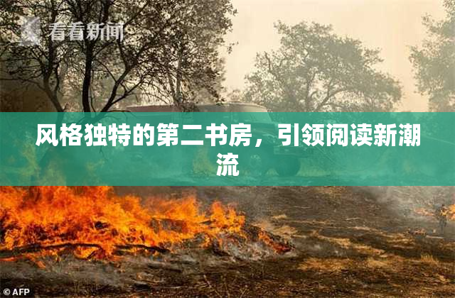 风格独特的第二书房，引领阅读新潮流