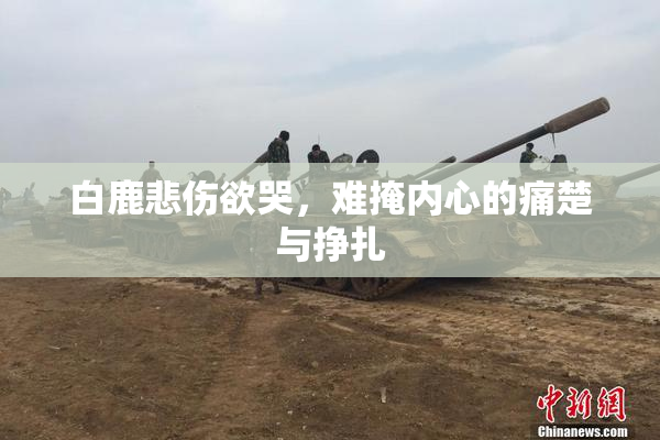 白鹿悲伤欲哭，难掩内心的痛楚与挣扎