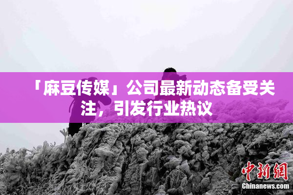 「麻豆传媒」公司最新动态备受关注，引发行业热议