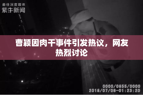 曹颖因肉干事件引发热议，网友热烈讨论