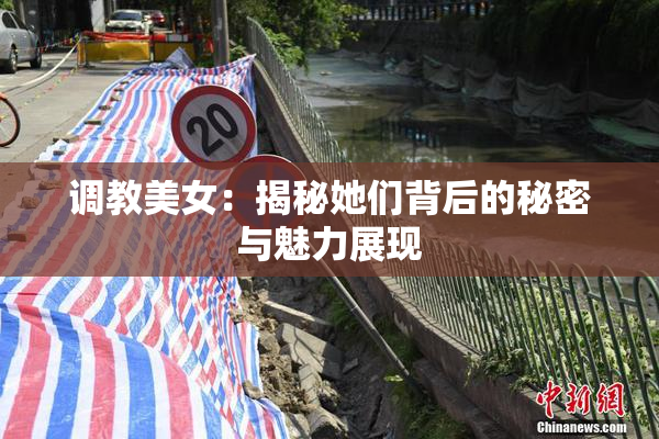 调教美女：揭秘她们背后的秘密与魅力展现