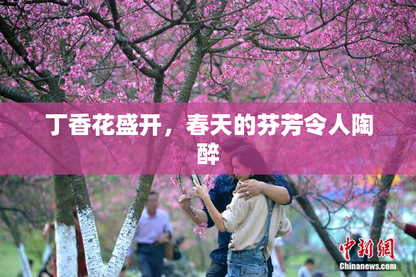 丁香花盛开，春天的芬芳令人陶醉