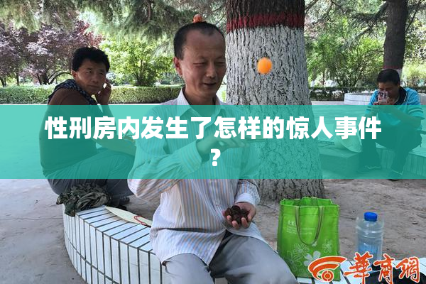 性刑房内发生了怎样的惊人事件？