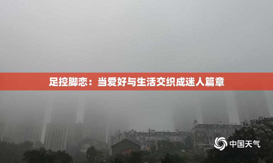 足控脚恋：当爱好与生活交织成迷人篇章