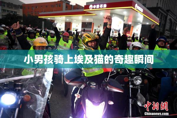 小男孩骑上埃及猫的奇趣瞬间