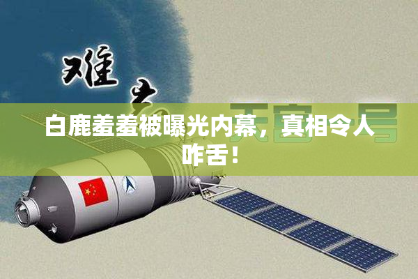 白鹿羞羞被曝光内幕，真相令人咋舌！