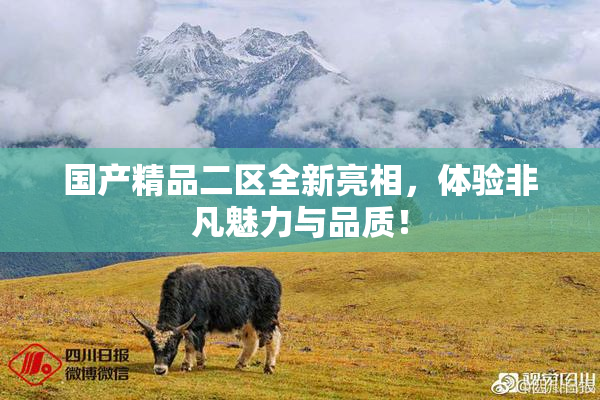 国产精品二区全新亮相，体验非凡魅力与品质！