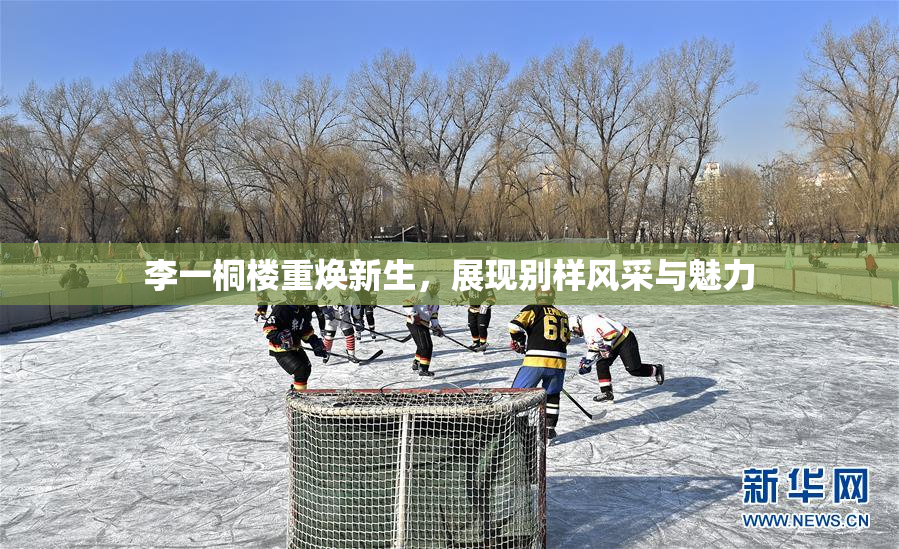 李一桐楼重焕新生，展现别样风采与魅力