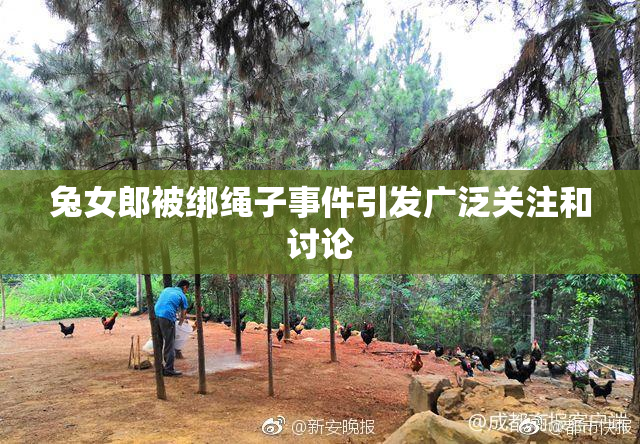 兔女郎被绑绳子事件引发广泛关注和讨论