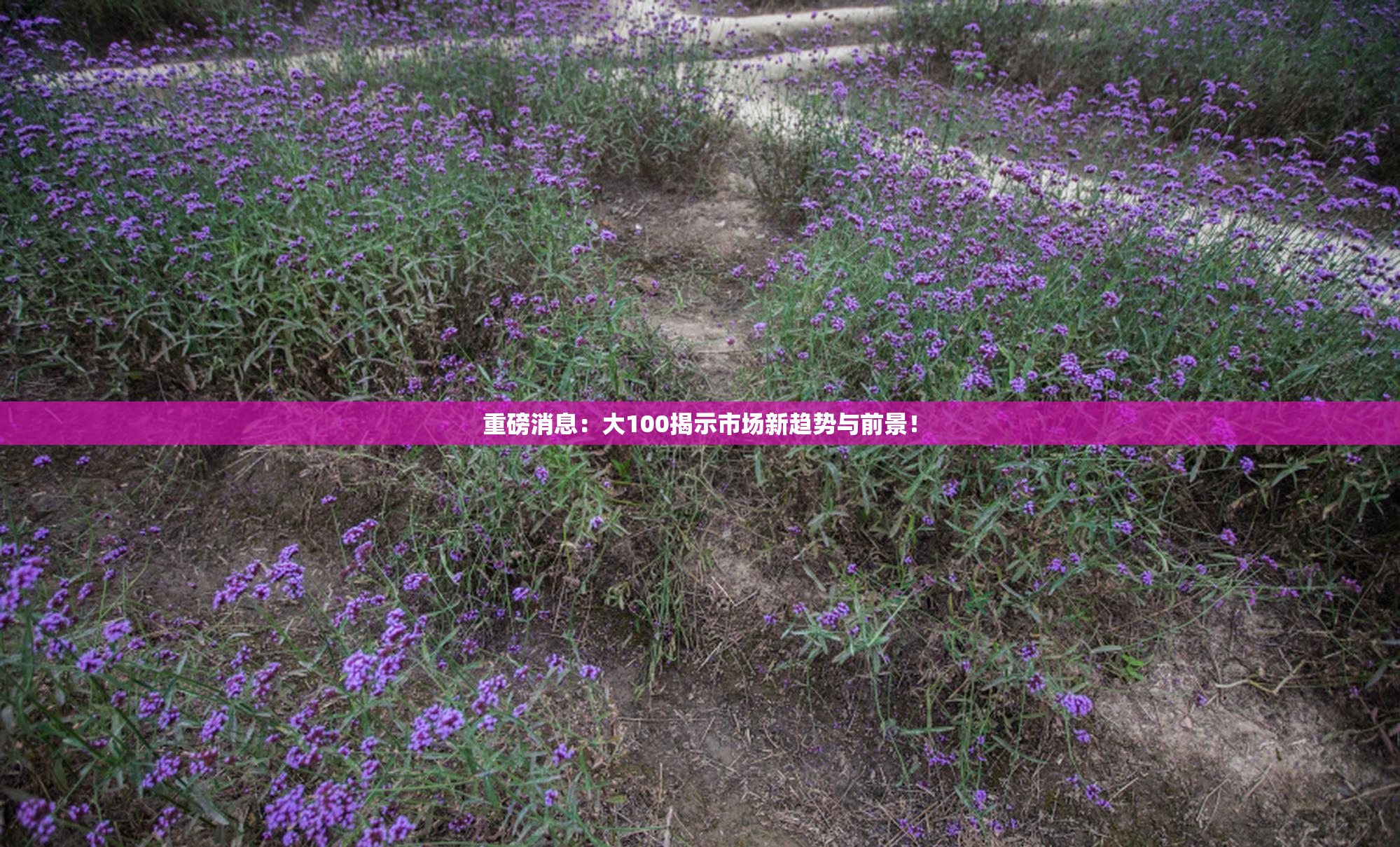 重磅消息：大100揭示市场新趋势与前景！