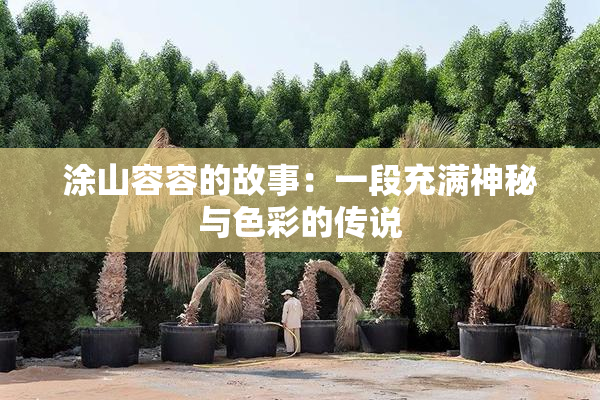 涂山容容的故事：一段充满神秘与色彩的传说