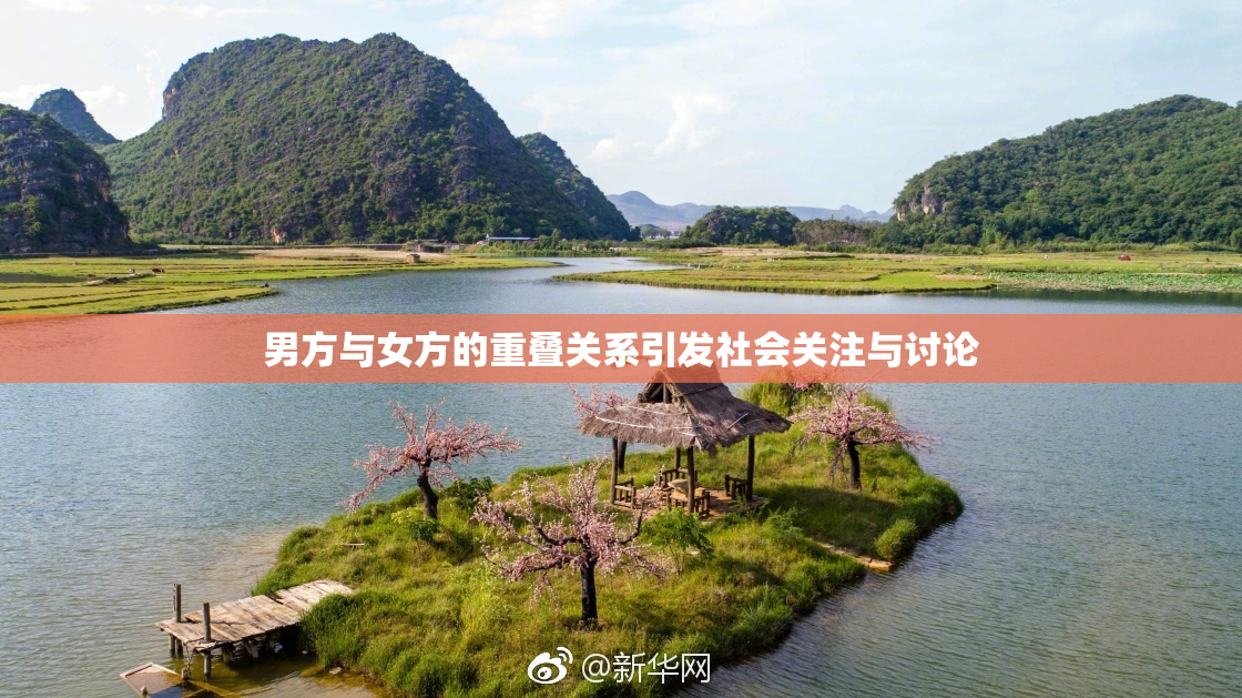 男方与女方的重叠关系引发社会关注与讨论