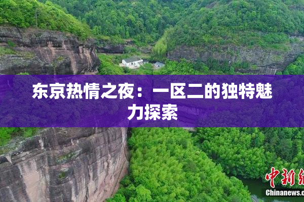 东京热情之夜：一区二的独特魅力探索