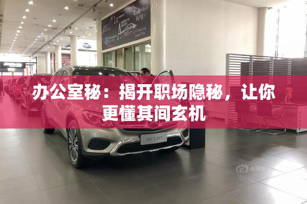 办公室秘：揭开职场隐秘，让你更懂其间玄机