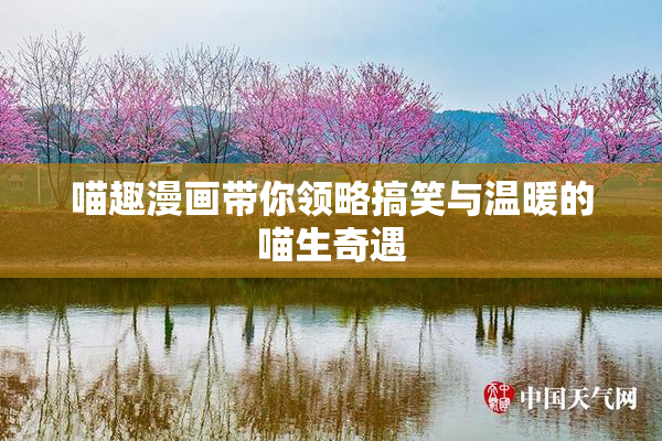 喵趣漫画带你领略搞笑与温暖的喵生奇遇