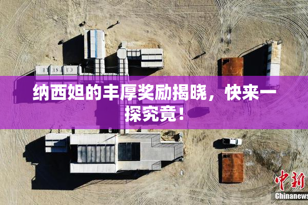 纳西妲的丰厚奖励揭晓，快来一探究竟！