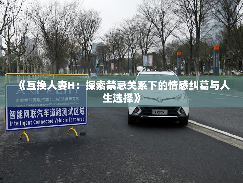 《互换人妻H：探索禁忌关系下的情感纠葛与人生选择》